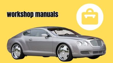 What are the different types of workshop manuals