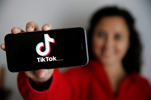 How to Download Video From TikTok to Phone?- SnapTik