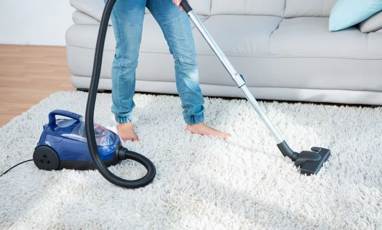 How a Carpet Cleaning Company Can Help You Maintain a Healthy Home and Budget
