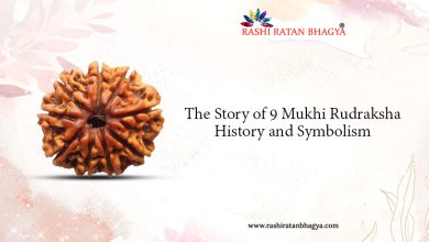 9 Mukhi Rudraksha