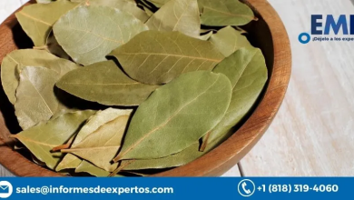 Global Bay Leaf Market