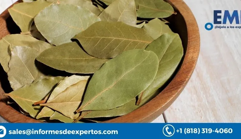 Bay Leaf Market Size, Report, Growth, Share, Price 2023-2028