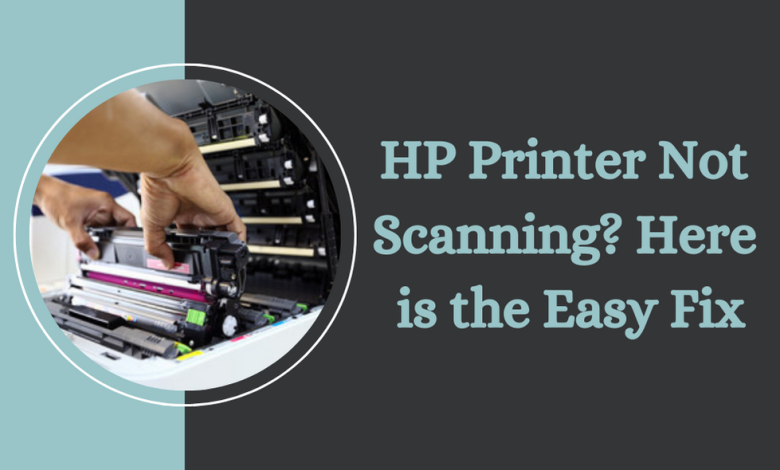 HP Printer Not Scanning