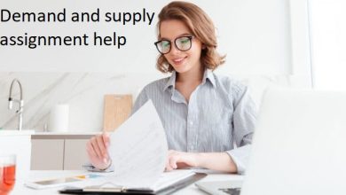 demand and supply assignment