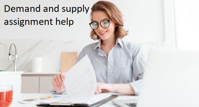 demand and supply assignment