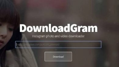 How to Download Photos & Videos From Instagram to Phone?