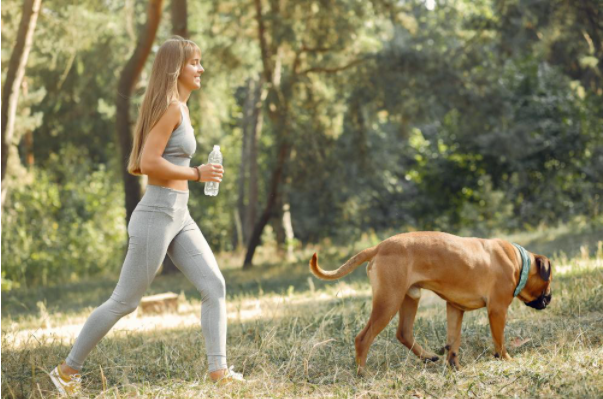 Running with Your Dog: Tips for a Pawesome Workout
