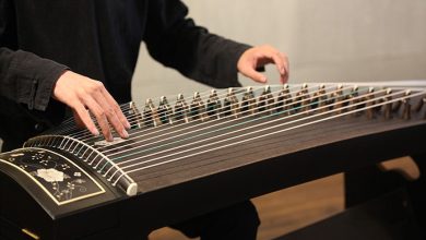 Strumming the Melodies of Tradition: Guzheng Lessons in Singapore