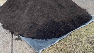 Mulch Matters: How to Choose the Right Mulch and Delivery Service in Ohio