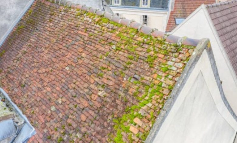 What Are The Benefits And Drawbacks Of Each Type Of Roofings?