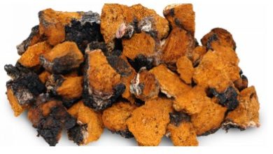 How to Report a Problem with a Chaga Mushroom Product