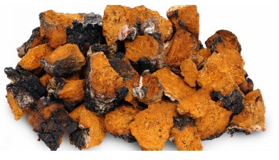 How to Report a Problem with a Chaga Mushroom Product