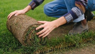 Turf Installation