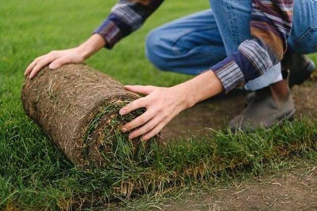 Turf Installation