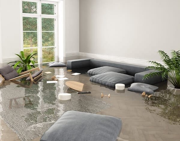 Flood Damage Cleanup in Camas, WA: A Comprehensive Guide