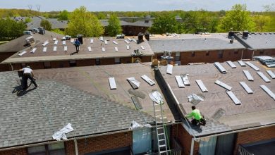 5 Signs You Need a Professional Roofing Contractor Now